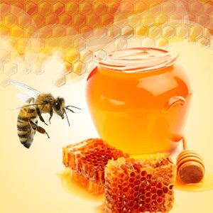 NG Baby Bee Buttermilk Type Fragrance Oil