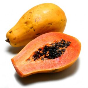 Papain Powder