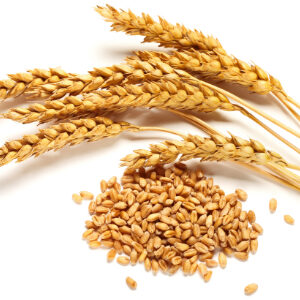 Hydrolyzed Wheat Protein