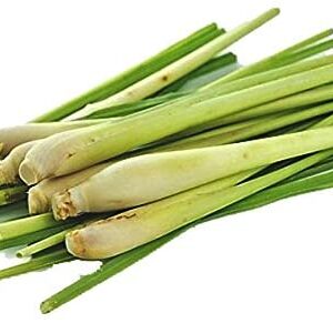 Lemongrass Essential Oil