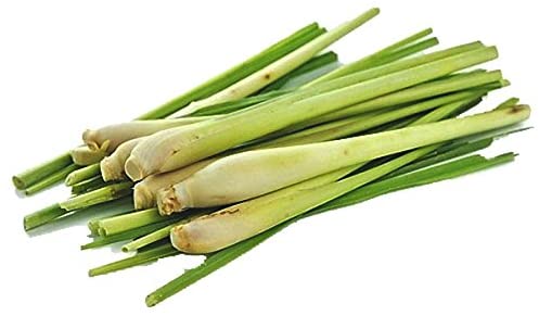 Lemongrass Essential Oil