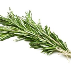 Rosemary Essential Oil
