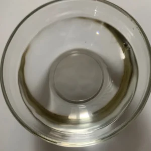Vitamin E (tocopheryl acetate)