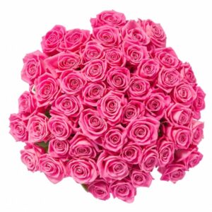 Fresh Cut Roses Fragrance Oil