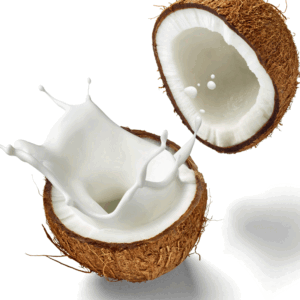 Creamy Coconut Fragrance Oil