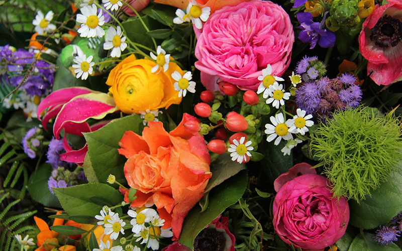 Deb's Flower Shoppe Fragrance Oil