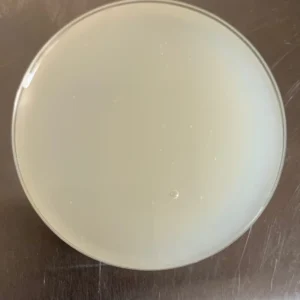 Sepigel 305