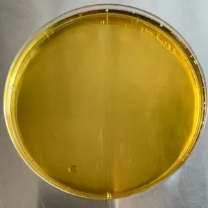 Ginger Extract