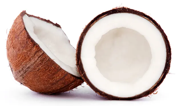 Coconut Fragrance Oil