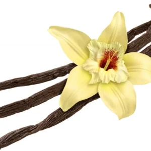 vanilla fragrance oil