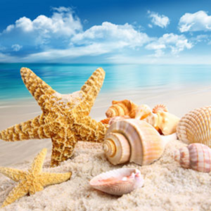 Island Fresh Fragrance Oil